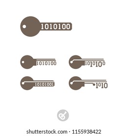 Set of keys with binary code. Electronic digital security system icon. The key to the program code. Innovative concept of the modern key. Simple flat icon symbol