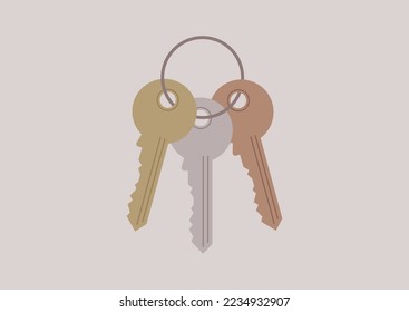 A set of keys of different metal colors