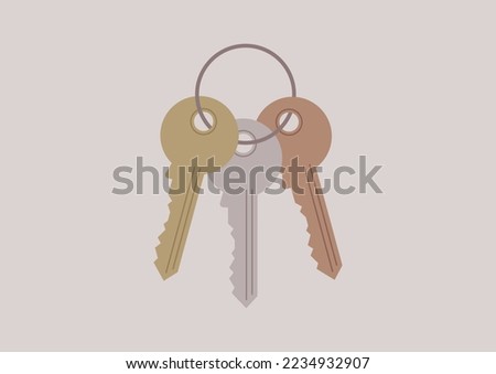 A set of keys of different metal colors