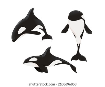 109 Angry Orca Images, Stock Photos & Vectors | Shutterstock