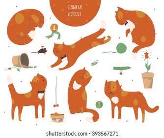 Set of kind funky ginger cats, isolated on white, fun, stylish. Vector illustration with cat accessories - food, toys, broken flower. Kittens are playing, jumping, sleeping and watching at butterfly.