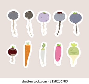 set of kinds of vegetable stickers
