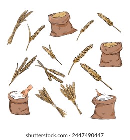 set of kinds of wheat drawing vector