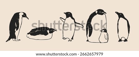 Set of king imperial penguins in different poses. Adult birds and chick. Standing, lying down, walking penguins. Cute adorable birds. Hand drawn modern Vector illustration. Isolated design elements