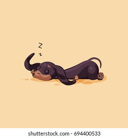 Set kit vector stock illustration emoji of cartoon character dog talisman, phylactery hound, mascot pooch, bowwow dachshund sticker emoticon German badger-dog sleeps on stomach emotion design element