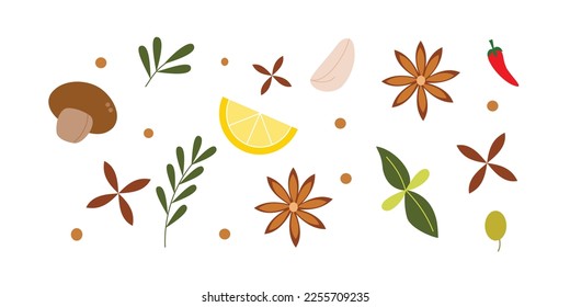 Set of kitchen spices illustration for design element