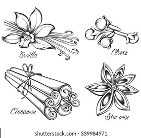 Set of kitchen spices. Vanilla, cinnamon, cloves, star anise. Hand drawn vector illustration.