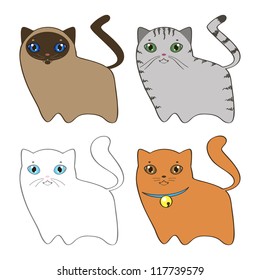 set of kittens with different color of wool and eyes