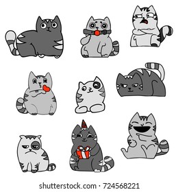 Set of kittens in gray shades