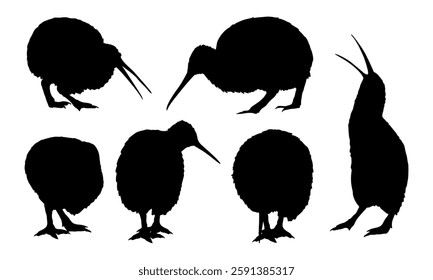 Set of Kiwi birds silhouettes. Kiwi birds stand, look for food and scream. Endemic of New Zealand. Vector animal