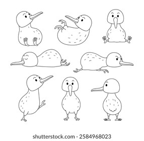 Set of kiwi doodle collection, flamingo outline coloring page book animals for kindergarten, Vector line art set of animals wildlife, Hand drawn, Minimal kiwi bird line art doodle in different pose