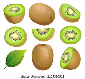 Set of kiwi fruit whole, half and cut slice illustration isolated on white background