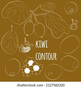 Set of kiwi with leaves and flowers, linear, outline only, no fill. Vector graphics