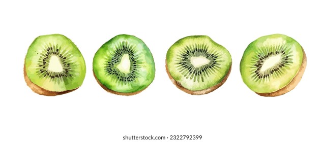 Set of kiwi watercolor isolated on white background. Healthy green fruit painting vector illustration