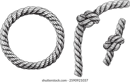 Set of knotted ropes cords eight knots vector. Nautical thread whipcord with loops and noose. Rope cord Twisted Round frame. Illustration hand drawn graphic isolated background. Braided, folded spiral