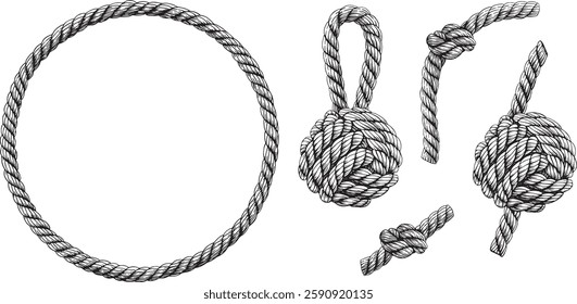 Set of knotted ropes cords monkey fist knot, eight knots vector. Nautical thread whipcord with loops and noose. Rope cord Twisted Round frame. Illustration hand drawn graphic isolated background. 