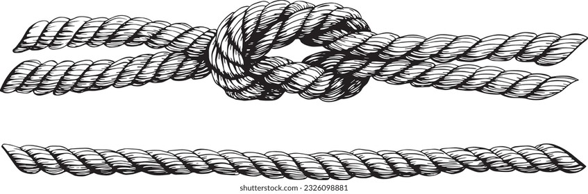 Set of knotted ropes realistic cords knot in vector. Nautical thread whipcord with loops and noose. Twisted, braided, folded, spiral fiber. Illustration hand drawn graphic in black on white isolated.