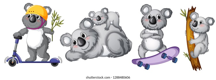 Set of koala bear character illustration