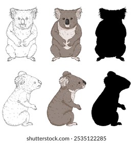 Conjunto de ilustrações vetoriais do Koala em estilos diferentes. Vistas lateral e frontal