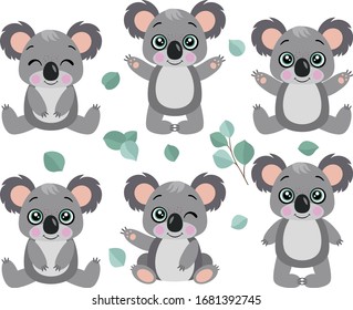 Set of koalas of different positions

