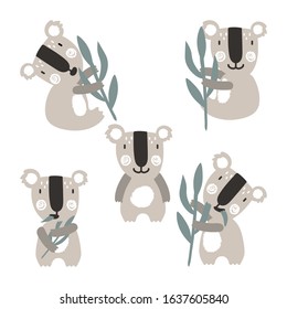 Set of koalas with eucalyptus branch vector illustration