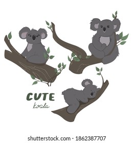 Juego de koalas en el árbol. Tres animales. Ilustración vectorial al estilo de las caricaturas. Aislado en blanco.