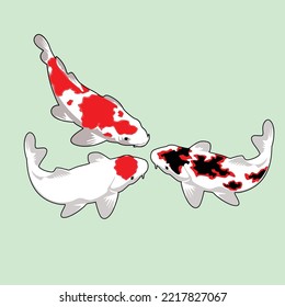 Set Koi carp vector illustration. Isolated.