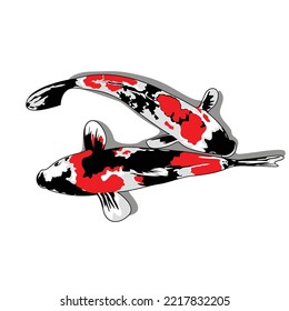 Set Koi carp vector illustration. Isolated.