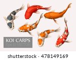 Set of koi carps