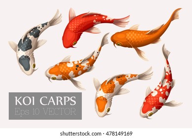Set of koi carps