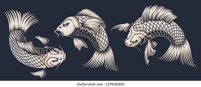 Set of koi carps illustrations on the dark  background. All illustrations are in separate groups. Convenient to change color and use separately. 