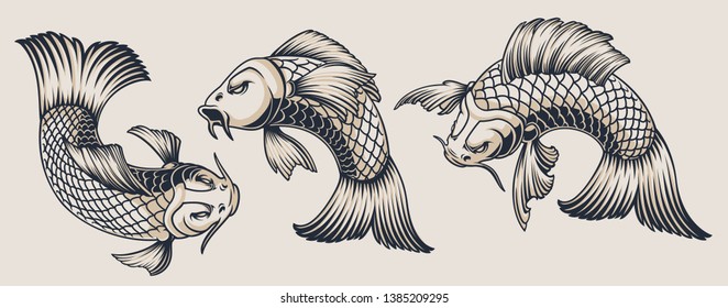 Set of koi carps illustrations on a white background. All illustrations are in separate groups. Convenient to change color and use separately.