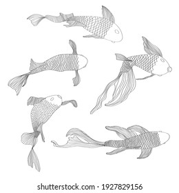 Set of Koi carps, japanese fish. korean animals. Hand drawn line art tattoo monochrome sketch isolated on white background.