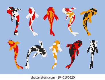 Juego de carpas koi. Pescado japonés de Koi. Pescado de oro chino. Símbolo Koi de riqueza. Pescado acuario. Ilustración de material vectorial. Carpas aisladas y coloridas. Todos los objetos están aislados.