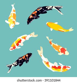 set of koi fish, carp fish collection, vector illustration