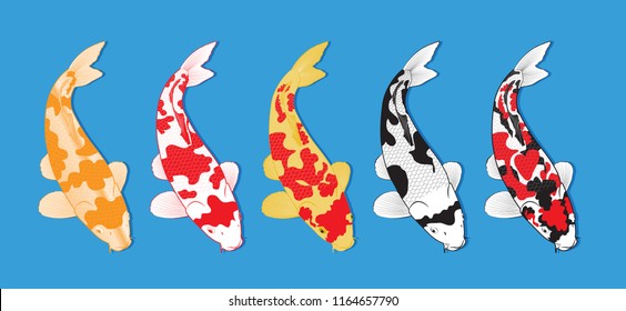 Set Of Koi Fish. Cartoon Vector Illustration