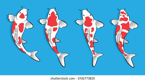Set of koi fish. Cartoon Vector illustration