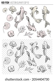 Set of koi fish. Hand drawn skrtch. Vector illustration