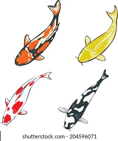 set of koi fish illustration