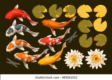 Set of koi fish and lotus