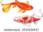 set of koi fish  on white background, watercolor carp, hand drawn, illustration for greeting cards, invitations. Watercolor painting