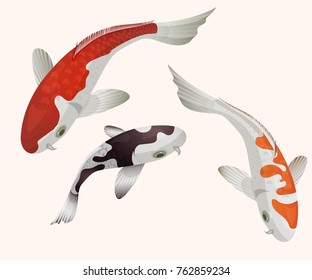 Set of koi fish. Vector illustration