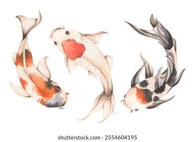 Conjunto de peces Koi, ilustración de acuarela - arte para el año Nuevo chino.