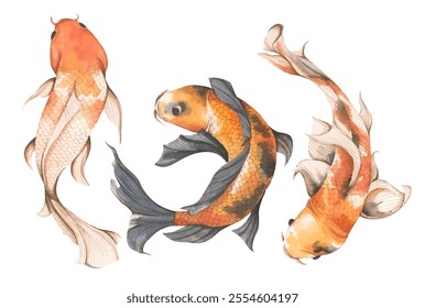 Conjunto de peces Koi, ilustración de acuarela - arte para el año Nuevo chino.