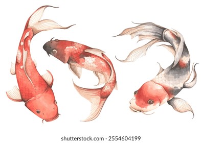 Conjunto de peces Koi, ilustración de acuarela - arte para el año Nuevo chino.