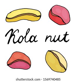 Set of kola nut with lettering. Nuts hand drawn. Healthy food in cartoon style.