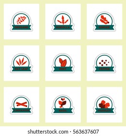 Set of label icon on sticker. Kitchenware seasoning spice