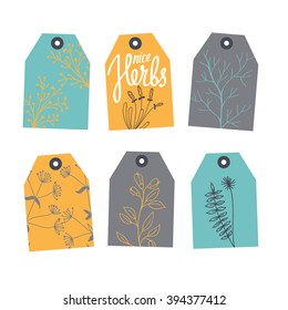 Set of labels  with branches . Decorated with branches, garland, gift, bow. Background white, colored tags.