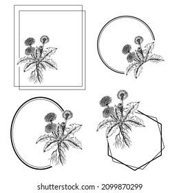 conjunto de etiquetas de flores de diente de león, ilustración dibujada a mano
