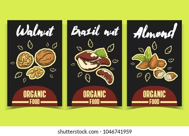 Set of labels with fresh nuts. Walnut, brazil nut, almond. Vector illustration